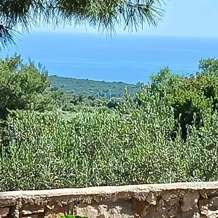One Bedroom With Terrace * Vis